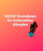 Einstellplatz/ Stall / Box /Paddock für Asthmatiker Pferd gesucht Bayern - Kümmersbruck Vorschau