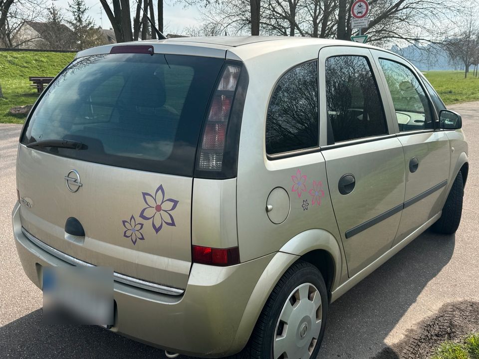 Opel Meriva in Offenau