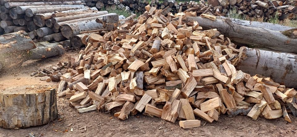 brennholz,kaminholz,feuerholz,buche in Timmenrode