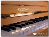 Klangvolles W.Hoffmann Klavier, 117, Buche satiniert ★ Bj.2001 Nordrhein-Westfalen - Altenberge Vorschau