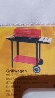 Zu verkaufen neuer grillwagen ungenutzt Schleswig-Holstein - Neumünster Vorschau