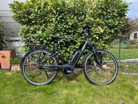 City E-Bike von Kreidler Vitality ECO 2 - Top Zustand Hessen - Hainburg Vorschau