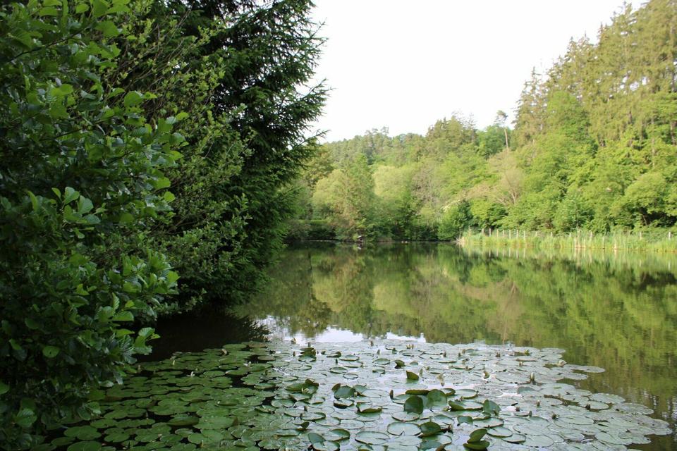 Camping + Angeln Angelurlaub JGA Männerurlaub Angelerlebnis in Welterod