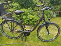 Vk Prophete Genießer 7.5 Citybike Fahrrad Damenrad Nordrhein-Westfalen - Herten Vorschau