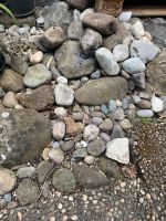 Steine groß und klein zu verschenken in Singen (sehr dringend) Baden-Württemberg - Singen Vorschau