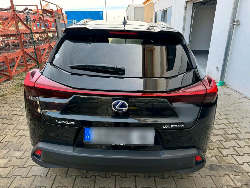 Lexus UX 250 H in Hohenthann