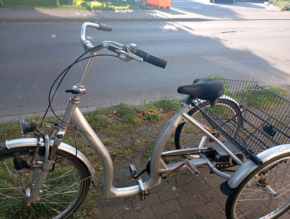 Dreirad Fahrrad in Heide