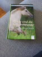 Pferde Kinderbuch Brandenburg - Werder (Havel) Vorschau