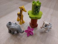 Lego Duplo 10904 süße Tierkinder Sachsen - Limbach-Oberfrohna Vorschau