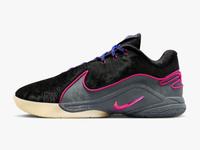 Nike LeBron XXII Schuhe Sachsen - Bad Elster Vorschau