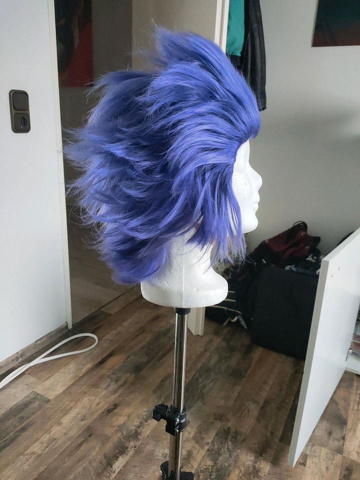 Hitoshi Shinsou Perücke/Wig (Kasou) in Geilenkirchen