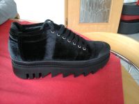 Jeffrey Campbell Plateau Sneaker schwarz neu Gr.38 Rheinland-Pfalz - Birkenbeul-Weißenbrüchen Vorschau