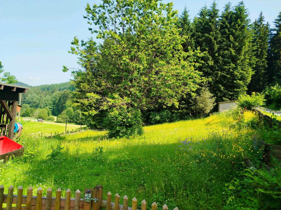 Property thumbnail 2