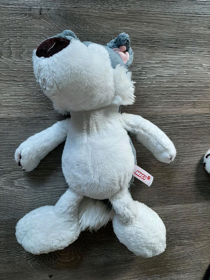 Nici Husky 40cm in Kleve