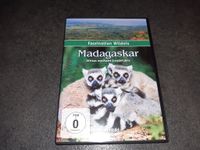 DVD Faszination Wildnis Madagaskar von Weltbild Bayern - Möhrendorf Vorschau