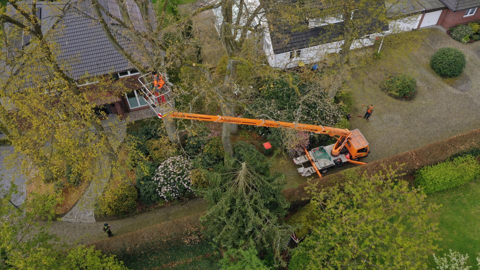 ⚠️Baumpflege,Hubsteiger,Seilklettertechnik⚠️Baumfällung❌, Bagger Sturmschaden Baumschnitt Brennholz vertikutieren in Ellerau 