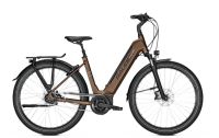 Raleigh Bristol XXL, Bosch 625Wh, bis 170kg, Sonderpreis Niedersachsen - Neuenhaus Vorschau