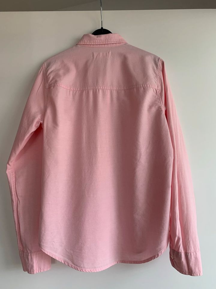 Bluse rosa von Hollister Gr. M 100% Baumwolle in Kressbronn am Bodensee