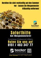 Schädlingsbekämpfung/ Wespenbekämpfung Bayern - Denklingen Vorschau