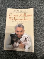 Buch „Cesar Milans Welpenschule“ Schleswig-Holstein - Großensee Vorschau