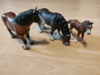 Schleich Shire Horse Familie Rheinland-Pfalz - Gebhardshain Vorschau