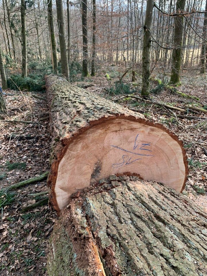 Lohnsägen Lohnschnitt Bauholz Sägewerk Schnittholz in Bad Vilbel