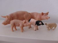 Schleich Schweine Hessen - Witzenhausen Vorschau
