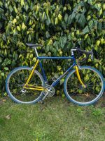 Rennrad RH 58 cm Campagnolo, Cinelli Eimsbüttel - Hamburg Schnelsen Vorschau