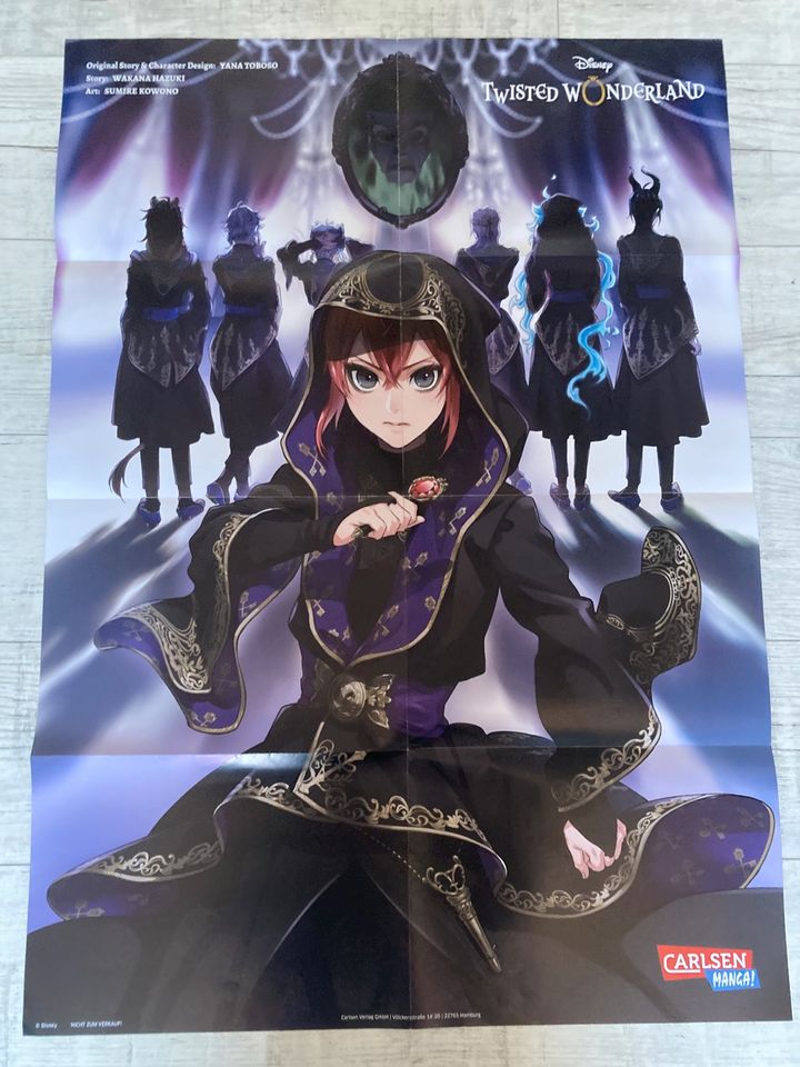 Manga Anime Set Poster Postkarten Merch Zubehör Extras in Riedstadt