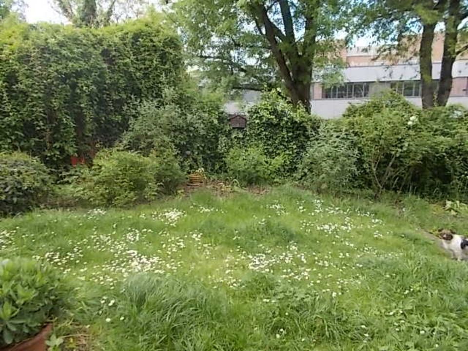 zuverlässiger Gartenhelfer für Garten in Offenbach gesucht in Offenbach