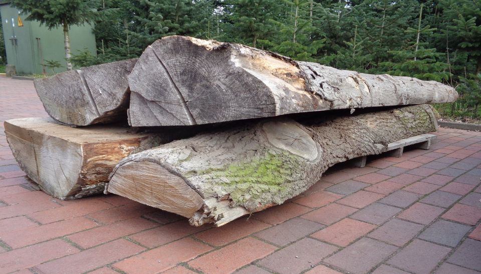 Roteiche Eiche Bastelholz Garten Deko Eichenbohle Zaun Bretter qm in Cloppenburg