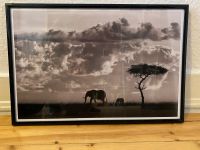 Gerahmtes Bild Schwarzer Rahmen Elefanten Steppe Afrika 46x31 cm Hamburg - Altona Vorschau