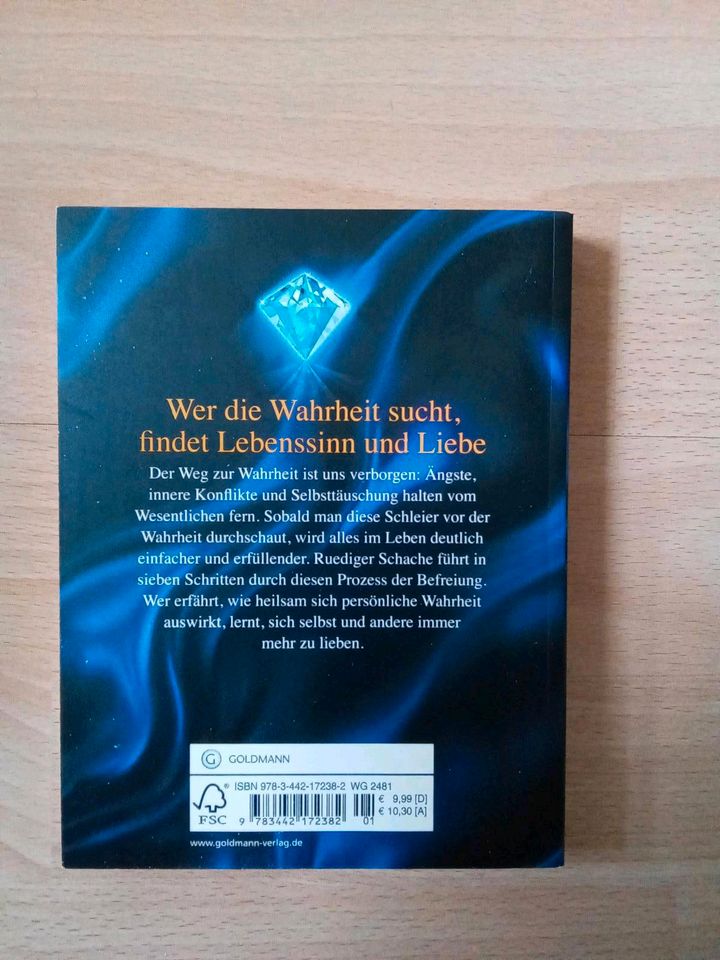 Ruediger Schwache, 7 Schleicher vor der Wahrheit+ Ja! in Wennigsen