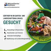 Gärtner/in im Garten- und Landschaftsbauer gesucht (m,w,d) Thüringen - Eisenach Vorschau