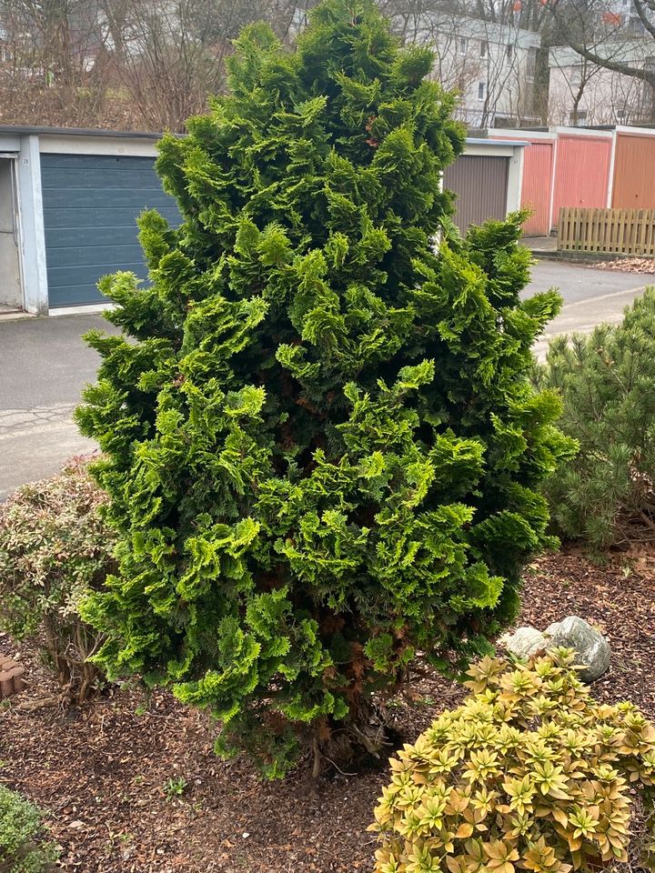 Sie benötigen Hilfe bei der Gartenarbeit? in Bochum