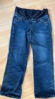 Umstandsjeans 46 Bon Brix Kr. Dachau - Pfaffenhofen a. d. Glonn Vorschau