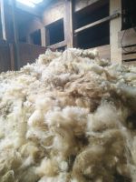 Schafwolle Niedersachsen - Großheide Vorschau