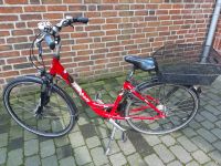 Jugend / Damen Fahrrad Nordrhein-Westfalen - Velen Vorschau