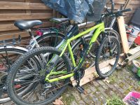 Fahrrad CUBE Herren Nordrhein-Westfalen - Erftstadt Vorschau