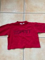 Esprit Pullover Logo Bayern - Ruhmannsfelden Vorschau