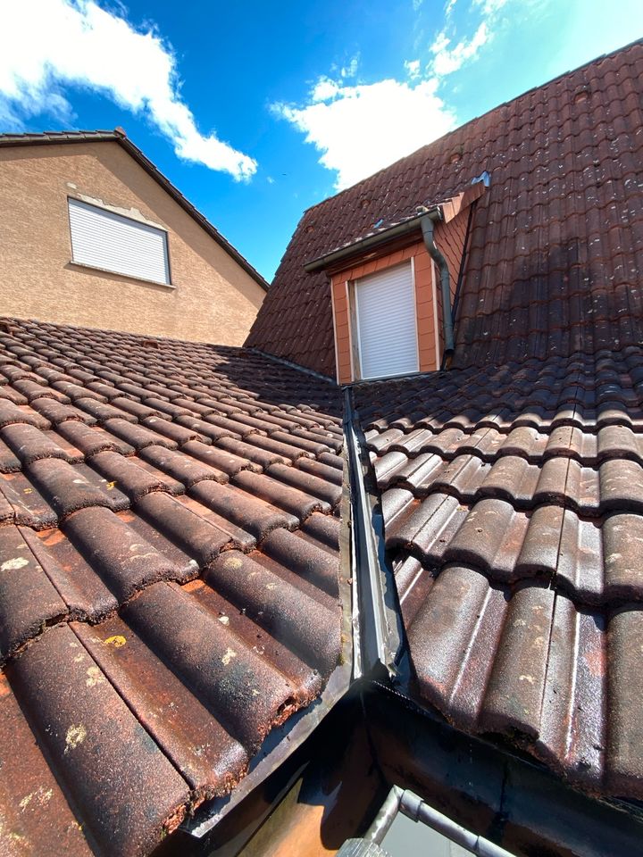 Dachreinigung-Regenrinnen & Terrassenreinigung und Gartenpflege in Altlußheim