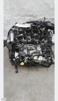 Motor 1.6 TDI DDY DDYA Komplett Audi VW SEAT Berlin - Wilmersdorf Vorschau