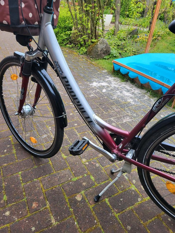 Damen Citybike 28 Zoll Prophete in Zeven