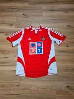 Adidas Benfica Lissabon Trikot Größe L Baden-Württemberg - Nürtingen Vorschau