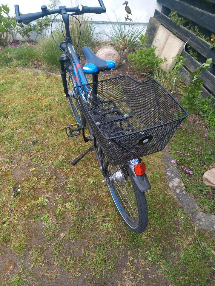 Jugendfahrrad 28 Zoll Raleigh 7 Gang Shimano in Wolfenbüttel