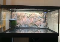 54l Aquarium mit Zubehör und Unterschrank Münster (Westfalen) - Centrum Vorschau