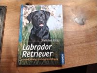 Buch Labrador Retriver Baden-Württemberg - Staufen im Breisgau Vorschau