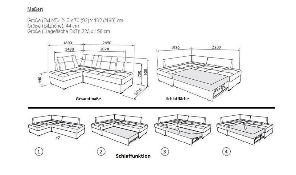 ECKSOFA MIT SCHLAFFUNKTION FEDERKERN STAURAUM HOLZ NEU in München