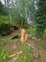 Sturmschäden, entwurzelte Bäume, Sonderfällung, Grüngutentsorgung Baden-Württemberg - Balingen Vorschau