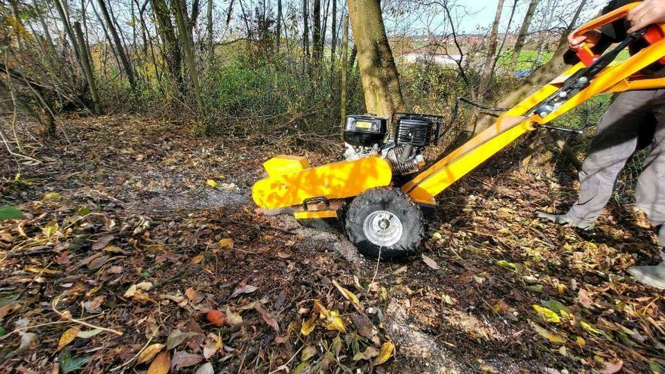 Baumstümpfe, Wurzeln  entfernen schnell,sauber und Preisgünstig in Laichingen